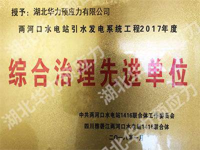 綜合治理先進單位
